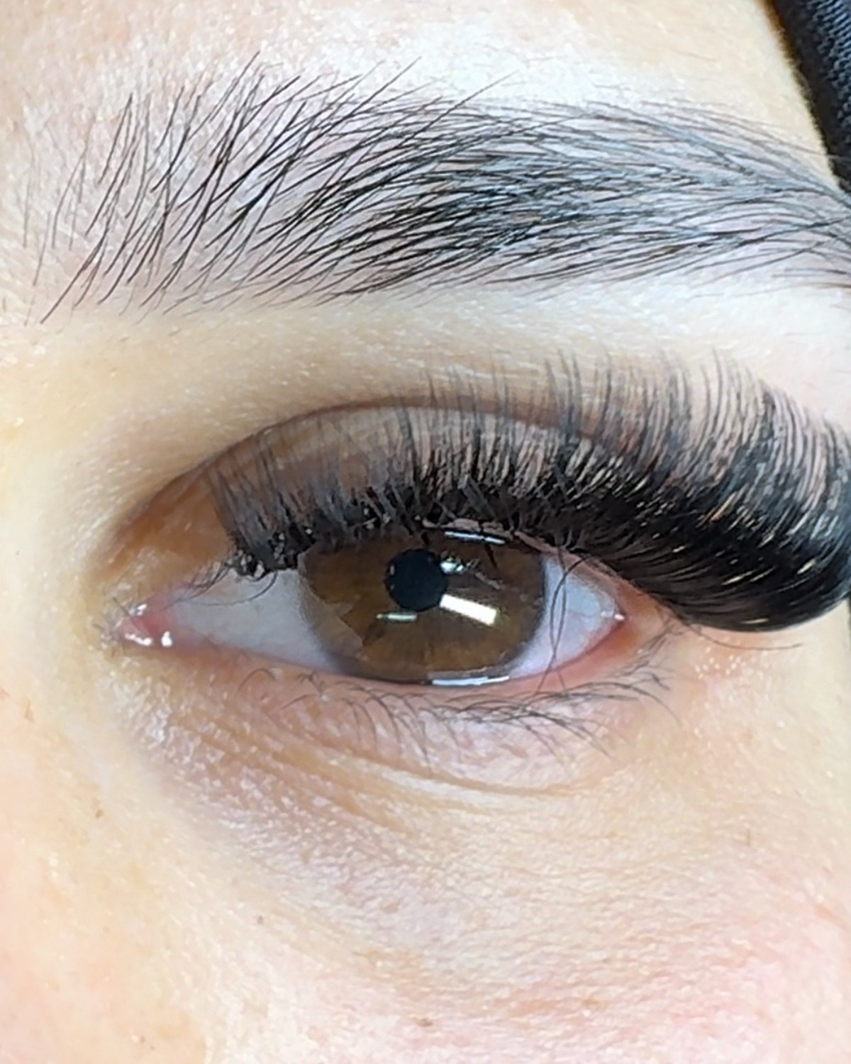 Lashextensions en een gestylede wenkbrauw, werk van Shine Beauty Venlo